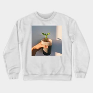 Sunflower Seeds Crewneck Sweatshirt